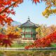枫叶音乐盒轻音乐EP《深夜练习曲》封面，简约黑白钢琴键盘特写配玫红标题字